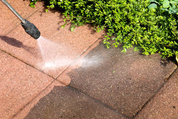 Best Pressure Washing Driveway  in Elim, PA